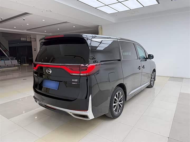 Trumpchi M8 2023 390 T — фото 25