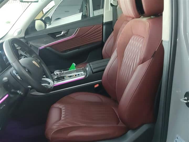 Hongqi HS5 2023 2.0 T 4 WD Pro — фото 11