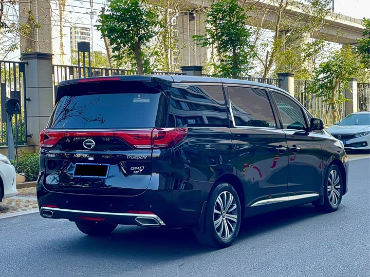 Trumpchi M8 2018 320 T — фото 9