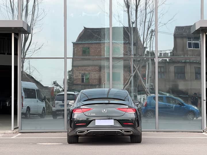 Mercedes-Benz CLS 2023 CLS 300 Luxury — фото 4