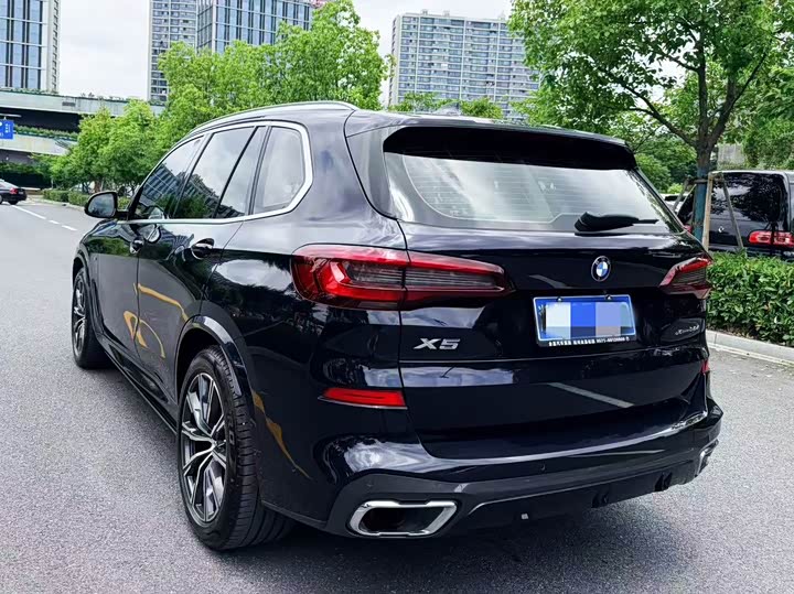 BMW X5 xDrive30i M спортпакет — фото 6
