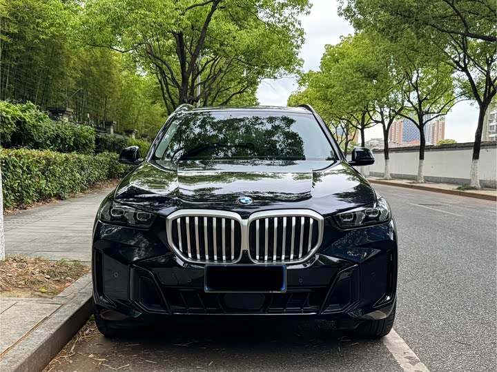 BMW X5 2023 x Drive 30 Li M — фото 2