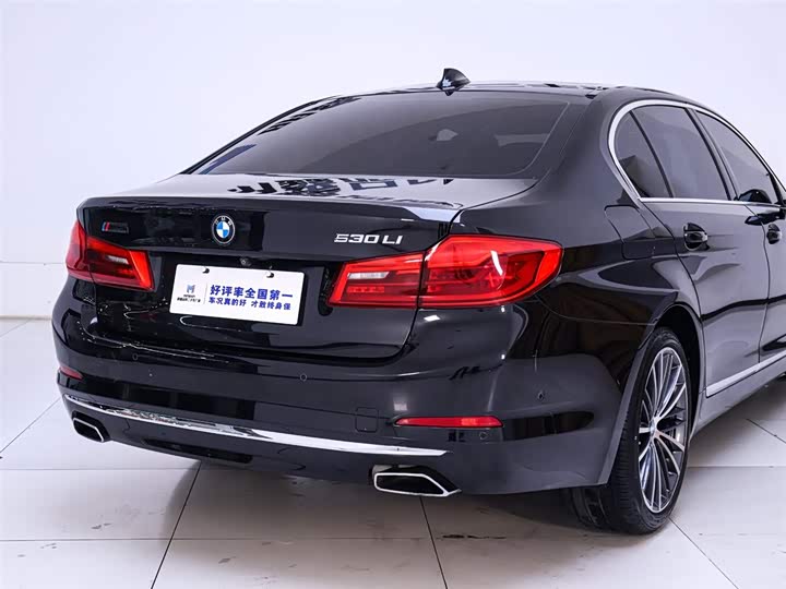BMW 5-Series 2020 530 Li — фото 8