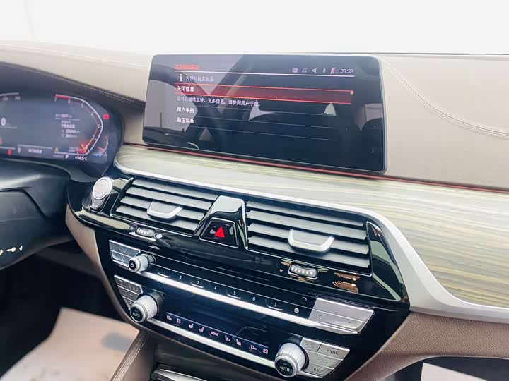 BMW 5-Series 2020 530 Li — фото 11