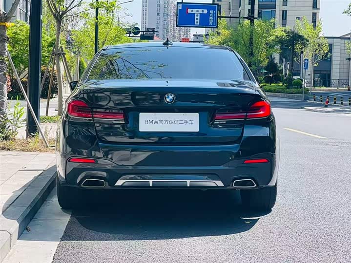 BMW 5-Series 2021 530 Li Leading M — фото 5
