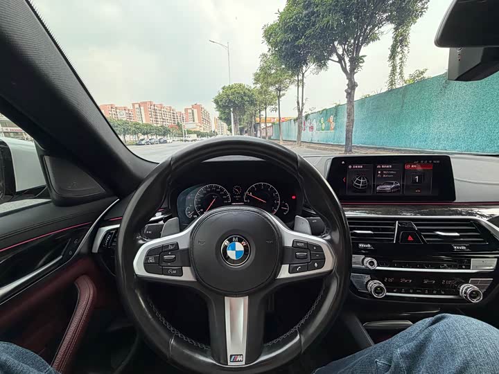 BMW 5-Series 2019 530 Li Leading M — фото 8