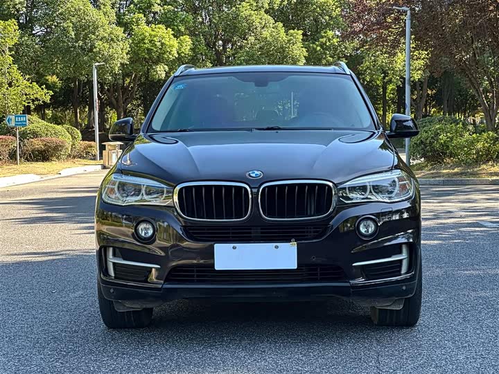 BMW X5 2014 x Drive 35i Leading — фото 3