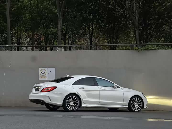 Mercedes-Benz CLS 2017 CLS 320 — фото 11