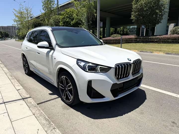 BMW X1 xDrive25Li M спортпакет — фото 3