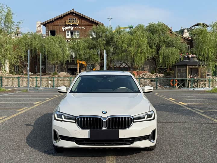 BMW 5-Series 2021 530 Li — фото 3