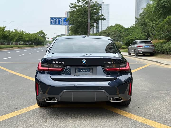 BMW 3 Series 320Li M спортпакет — фото 6