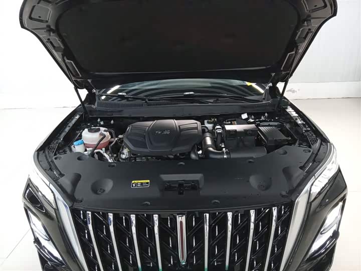 Hongqi HS5 2023 2.0 T Pro — фото 16