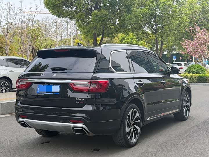 Hongqi HS7 2021 3.0 T AT 4 WD — фото 6