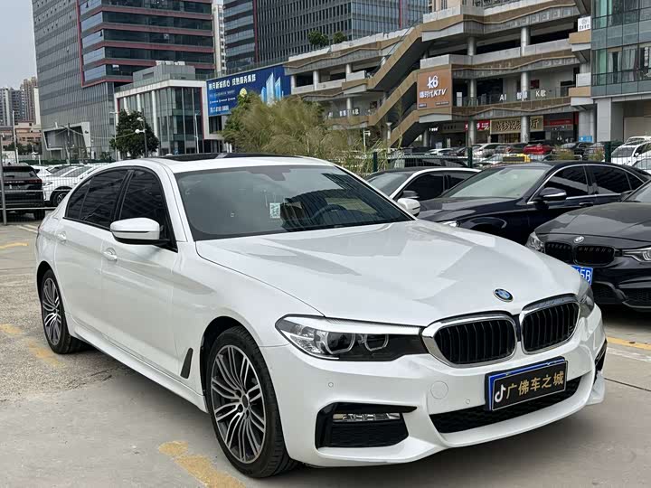 BMW 5-Series 2019 530 Li Leading M — фото 3