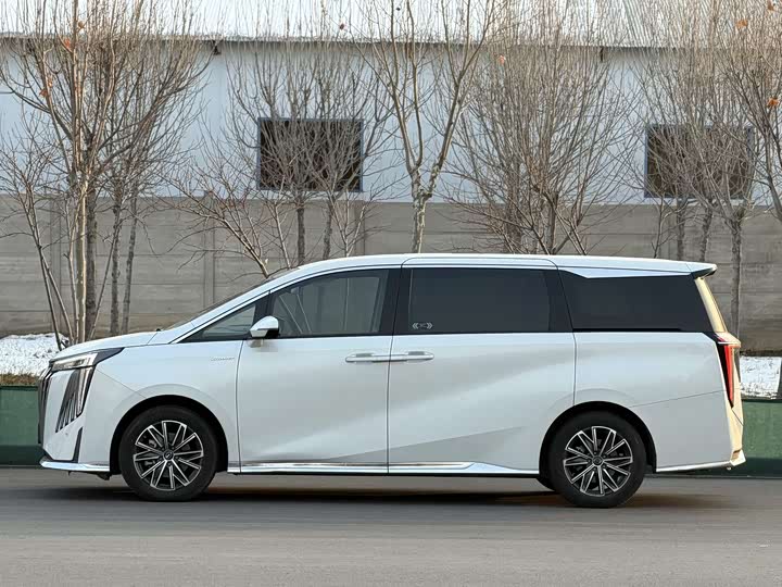 Trumpchi M8 2024 400 T — фото 19
