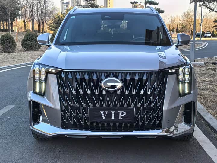Trumpchi GS8 2022 2.0 TM 2 WD ( ) — фото 2