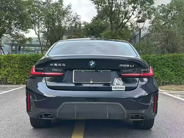 BMW 3 Series 320Li M спортпакет — фото 15