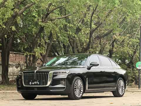 Hongqi H9 2020 2.0 T — фото 16