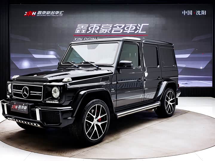 Mercedes-Benz G-Class 2016 AMG G 63 Edition 463 — фото 1