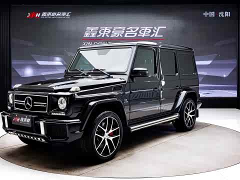 Mercedes-Benz G-Class 2016 AMG G 63 Edition 463 — фото 19