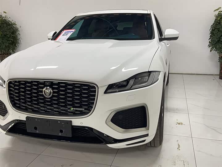 Jaguar F-PACE 2021 250 PS R-Dynamic S — фото 3