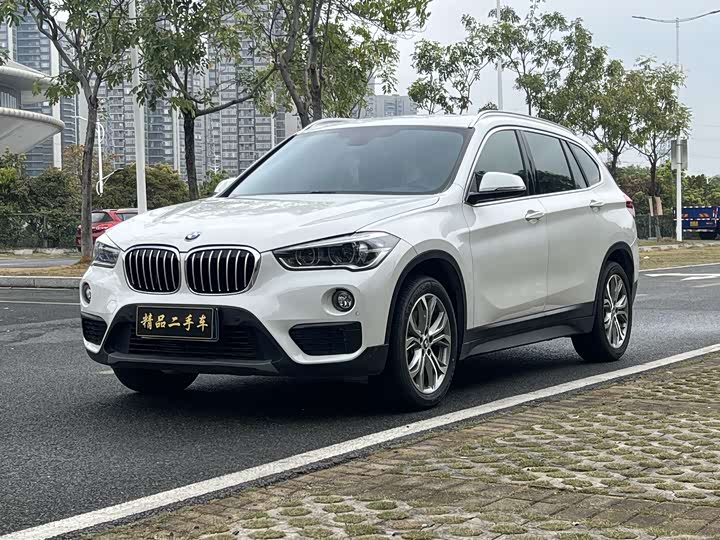 BMW X1 2018 s Drive 20 Li Leading — фото 2