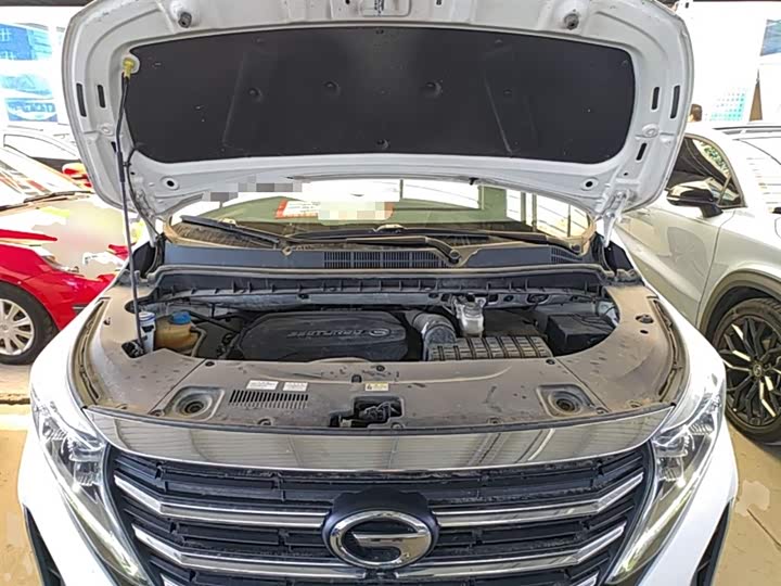 Trumpchi M8 2021 390 T — фото 20