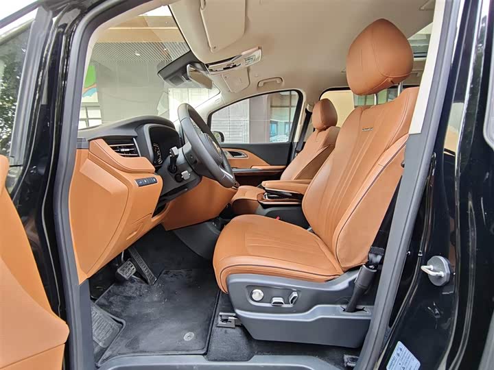 Hongqi HQ9 PHEV 2024 2.0 T 4 WD — фото 6