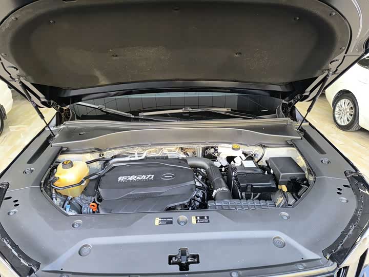 Trumpchi GS8 2022 2.0 TGDI 2 WD ( ) — фото 17