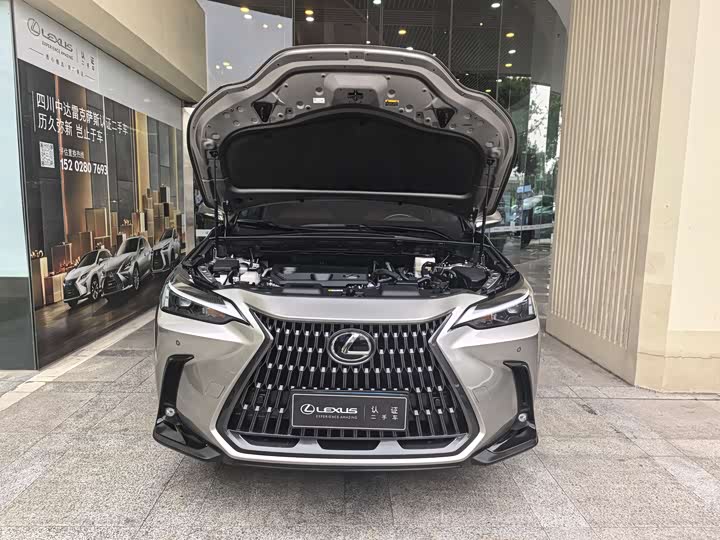 Lexus NX 2023 350h — фото 6
