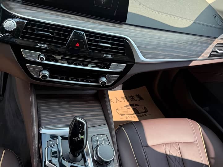 BMW 5-Series 2019 530 Li Leading — фото 24