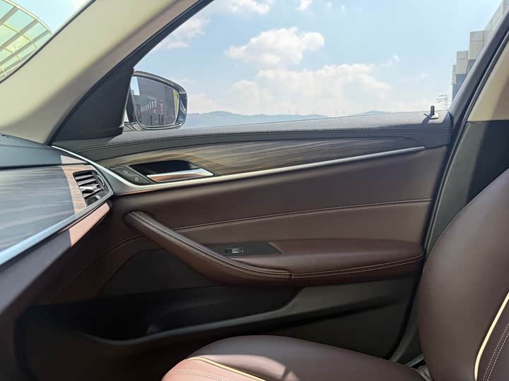 BMW 5-Series 2019 530 Li Leading — фото 26