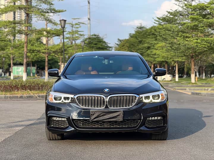 BMW 5-Series 2018 530 Li Leading M — фото 23