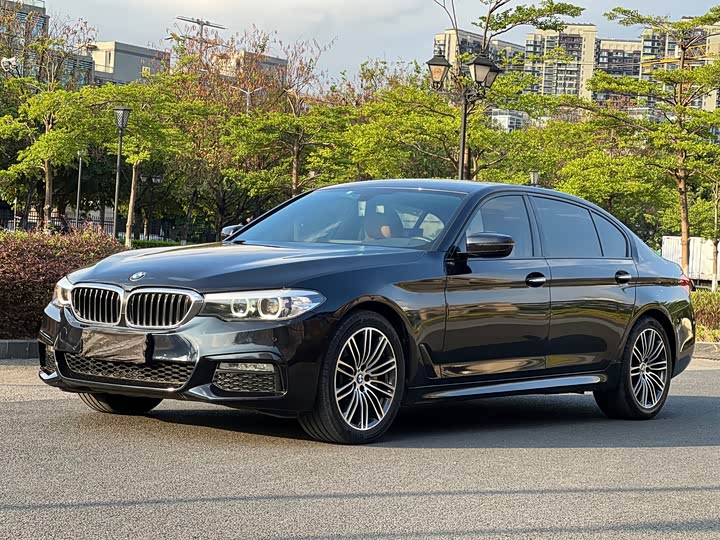 BMW 5-Series 2018 530 Li Leading M — фото 1