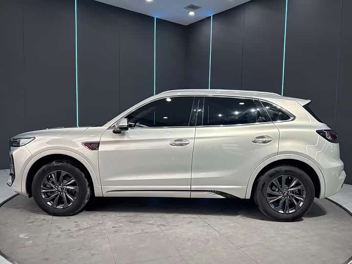 Hongqi HS5 2023 2.0 T Pro — фото 5