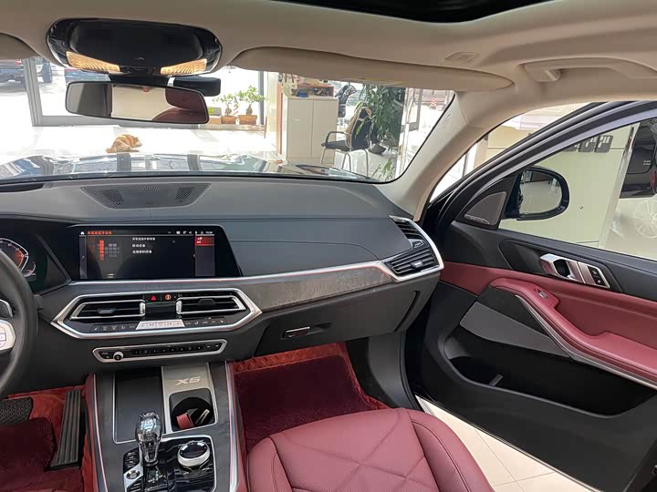 BMW X5 2022 x Drive 30 Li M — фото 21