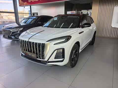 Hongqi HS3 2023 1.5 T 2 WD — фото 10