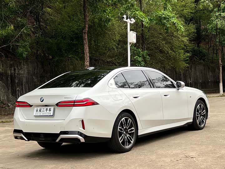 BMW 5-Series 2024 530 Li Leading M — фото 7