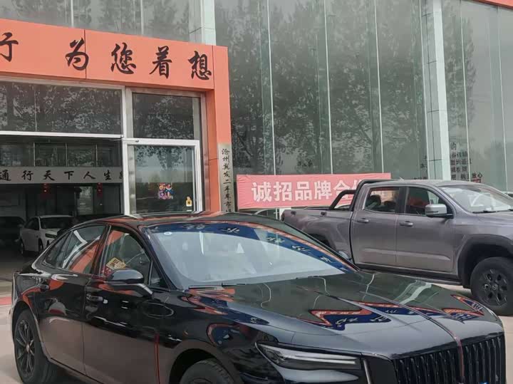 Hongqi H5 2025 1.5 T DCT — фото 6