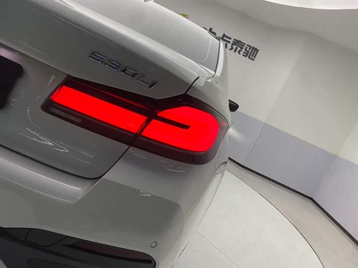 BMW 5-Series 2021 530 Li Leading M — фото 10