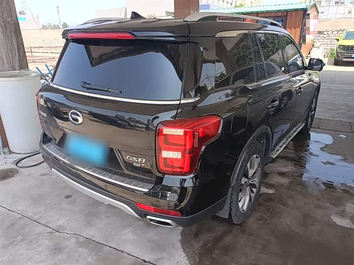 Trumpchi GS8 2017 320 T 2 WD ( ) — фото 7