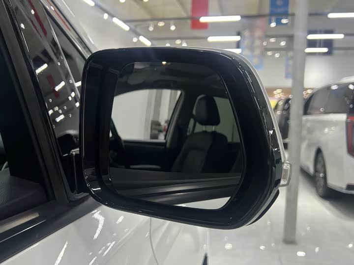 Trumpchi M8 2020 390 T — фото 25