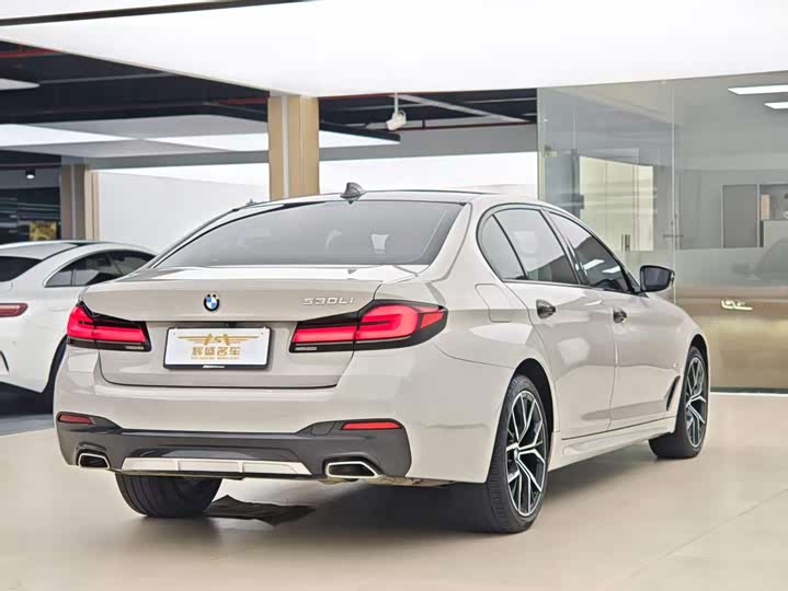 BMW 5-Series 2021 530 Li M — фото 15