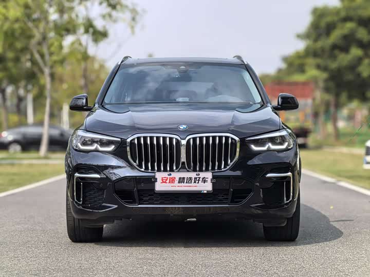 BMW X5 2022 x Drive 30 Li M — фото 2