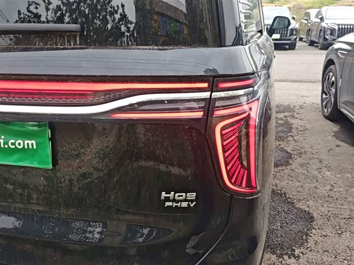 Hongqi HQ9 PHEV 2024 2.0 T 4 WD — фото 8