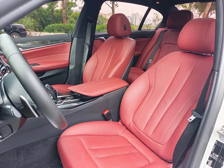 BMW 5-Series 2019 530 Li Leading M — фото 6