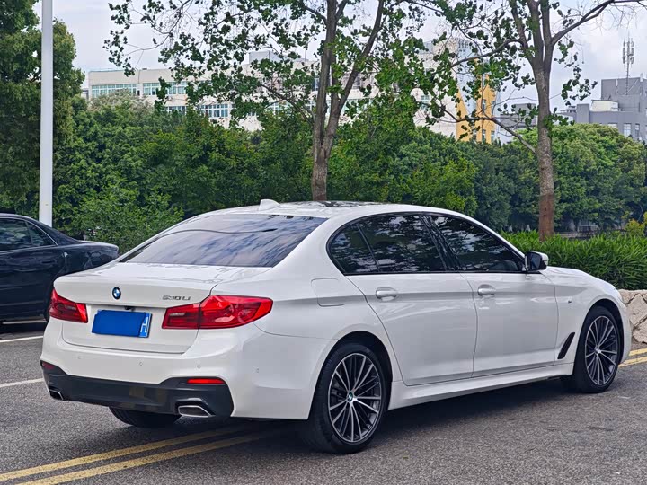 BMW 5-Series 2019 530 Li Leading M — фото 13