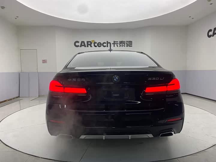 BMW 5-Series 2021 530 Li Leading M — фото 6