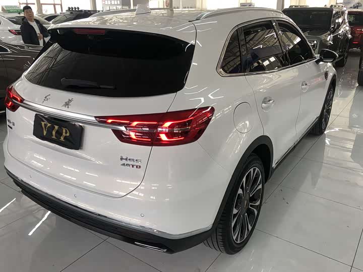 Hongqi HS5 2019 2.0 T 4 WD — фото 4