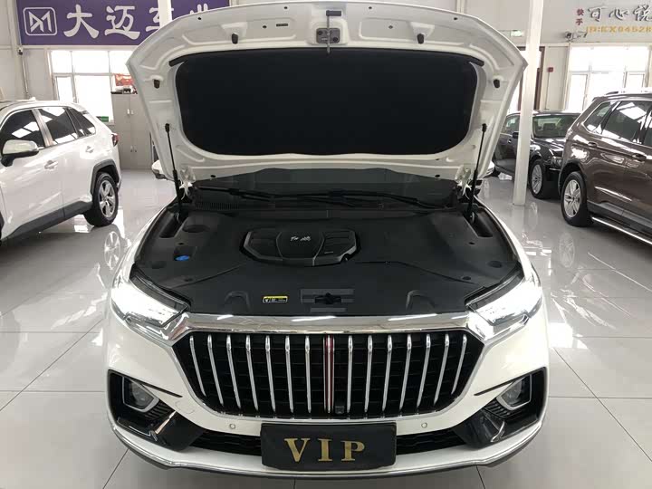 Hongqi HS5 2019 2.0 T 4 WD — фото 14